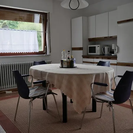 Apartment Lahr Im Schwarzwald ,120 Qm, Pool 8x4m, Nahe Europa Park Rust *