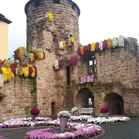 Lahr Im Schwarzwald ,120 Qm, Pool 8x4m, Nahe Europa Park Rust * Lahr/Schwarzwald