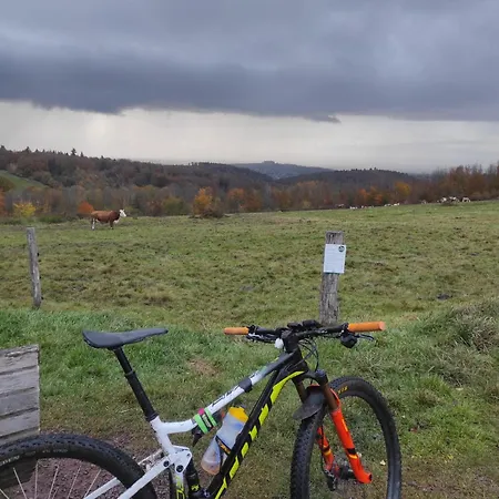 Im Schwarzwald ,120 Qm, Nahe Europa Park Rust, Aussenpool 8x4 * Lahr/Schwarzwald