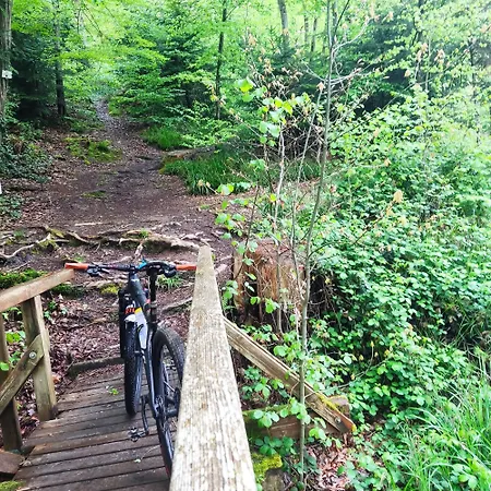 شقة Im Schwarzwald ,120 Qm, Nahe Europa Park Rust, Aussenpool 8x4