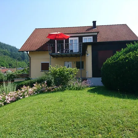 Lahr Im Schwarzwald ,120 Qm, Pool 8x4m, Nahe Europa Park Rust Apartment *