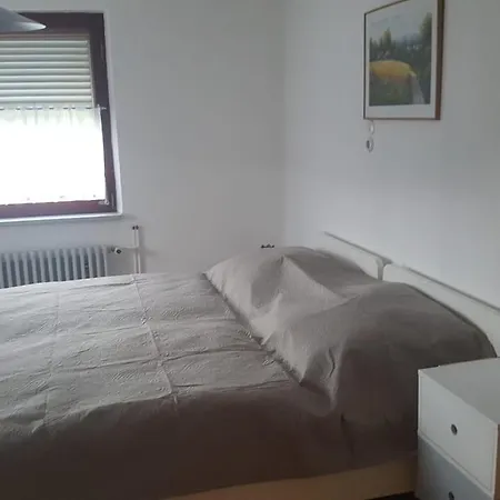 Apartment Lahr Im Schwarzwald ,120 Qm, Pool 8x4m, Nahe Europa Park Rust *